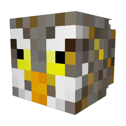 Kid_Z Minecraft avatar head, 3D render