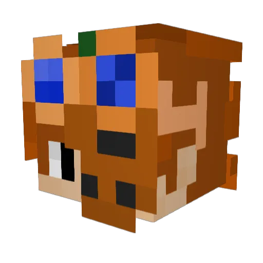 Kid_lol Minecraft avatar head, 3D render