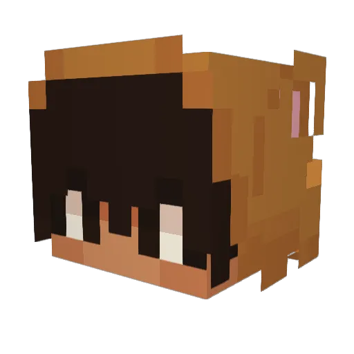 Kidd_Feddy1 Minecraft avatar head, 3D render