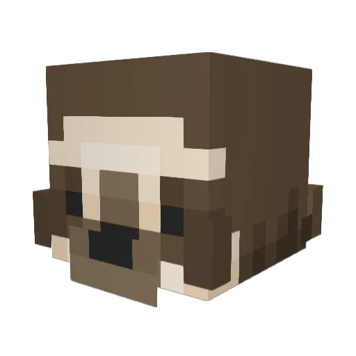 Kidderra Minecraft avatar head, 3D render