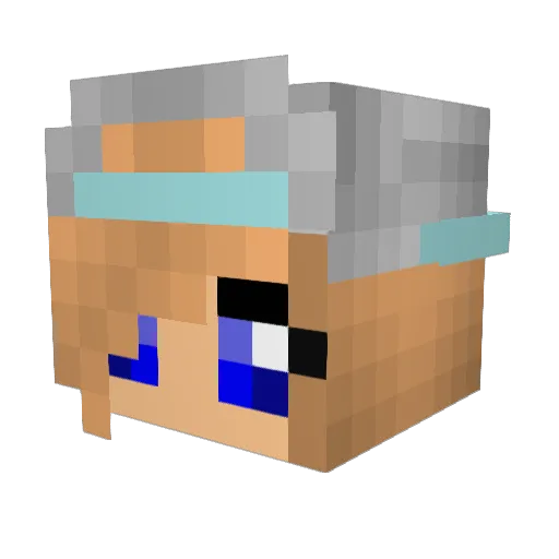 Kiddies2013 Minecraft avatar head, 3D render