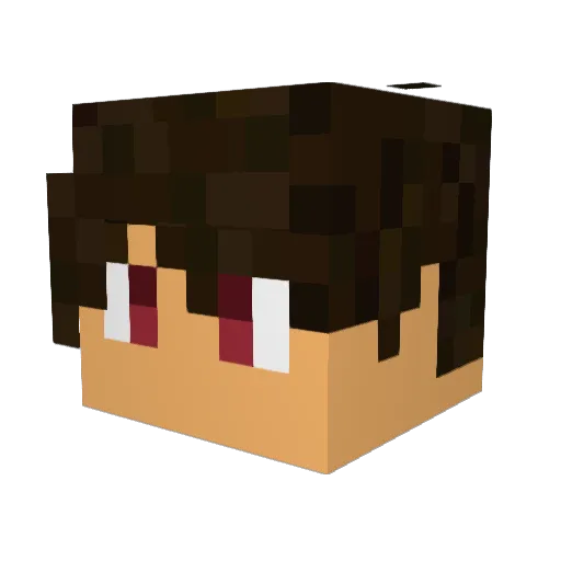 Kidfury110 Minecraft avatar head, 3D render