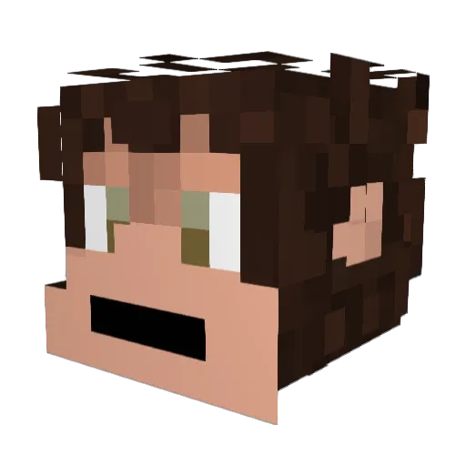 Kidnee Minecraft avatar head, 3D render