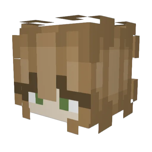 KidneyBeen Minecraft avatar head, 3D render