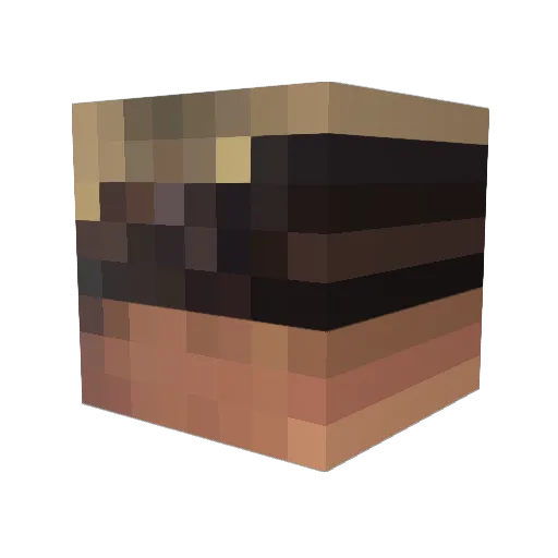 KidneyStoneLover Minecraft avatar head, 3D render
