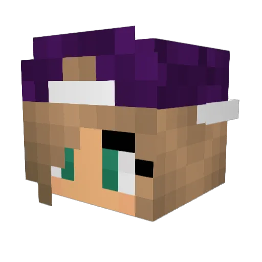 KidsGaming5188 Minecraft avatar head, 3D render