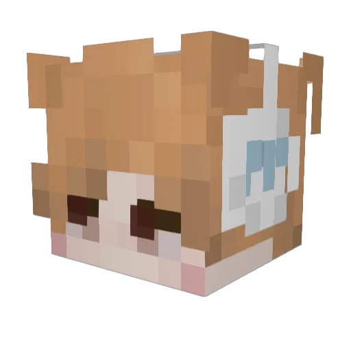 Kieran3335 Minecraft avatar head, 3D render