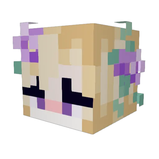 Kierantula Minecraft avatar head, 3D render