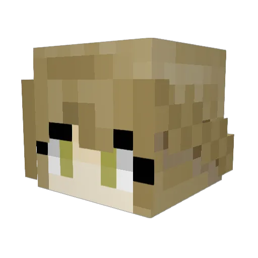 Kiervce Minecraft avatar head, 3D render