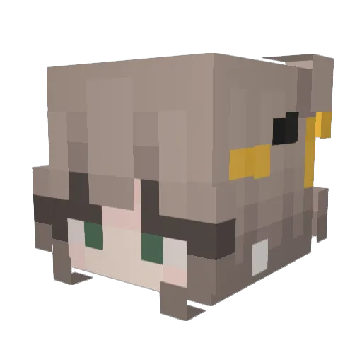 Kiestuff Minecraft avatar head, 3D render