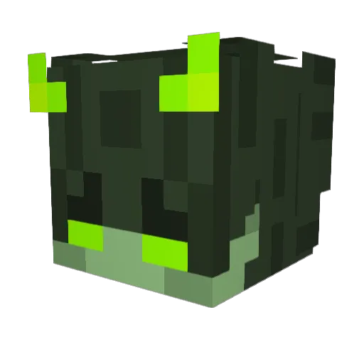 KigelpMC Minecraft avatar head, 3D render