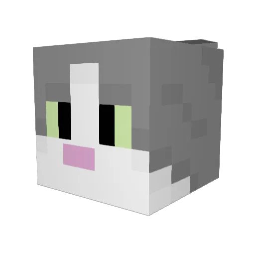 KiiW33 Minecraft avatar head, 3D render