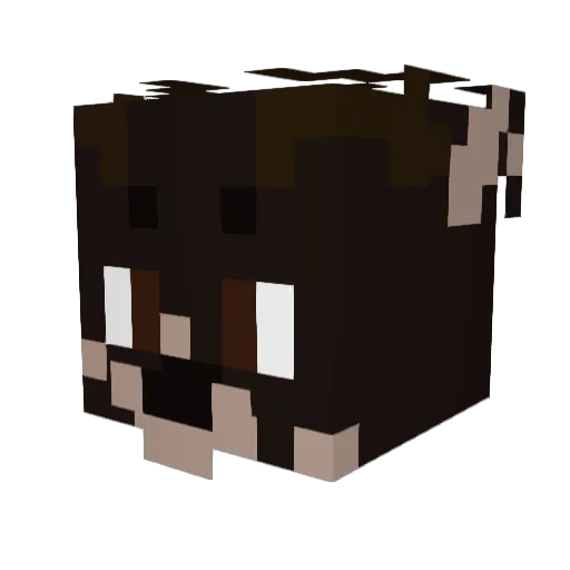 Kiiiiiiip Minecraft avatar head, 3D render
