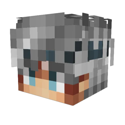 KiinqBrdx_ Minecraft avatar head, 3D render