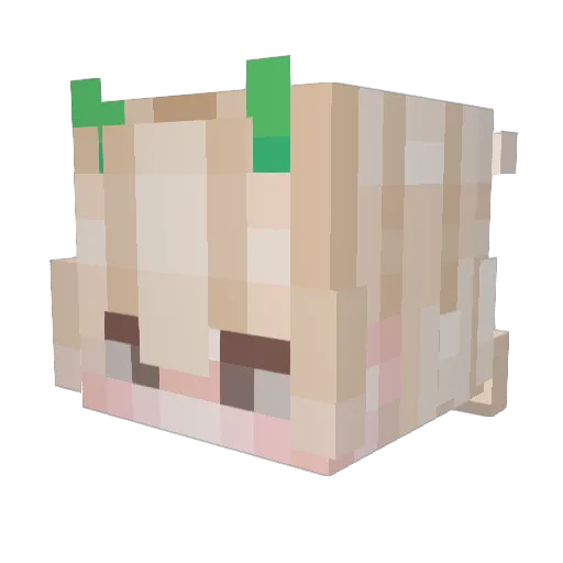 Kikanjuun Minecraft avatar head, 3D render