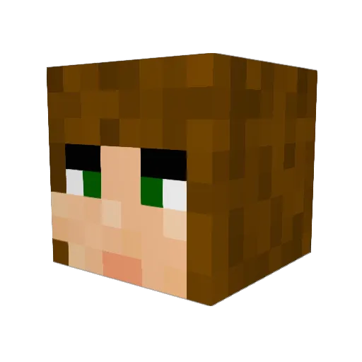 Kikerchan Minecraft avatar head, 3D render