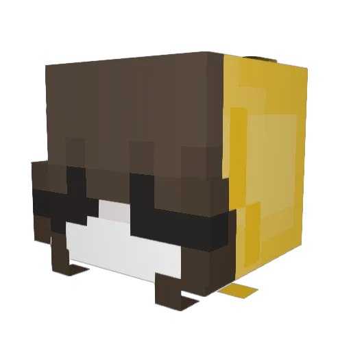 KikiDieSeegurke Minecraft avatar head, 3D render