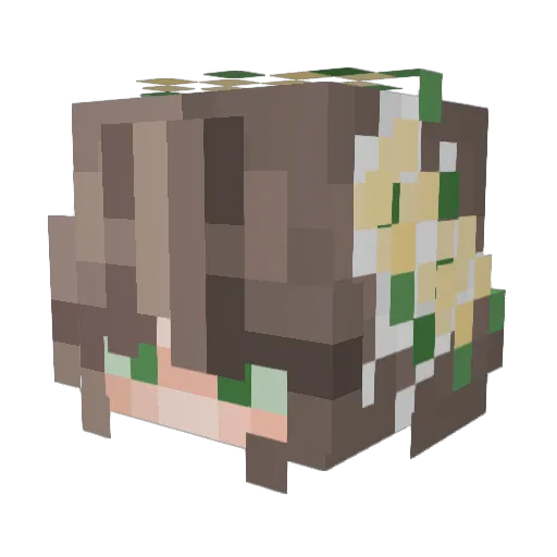 Kiki_B002 Minecraft avatar head, 3D render