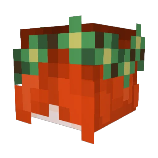 Kikicoo Minecraft avatar head, 3D render