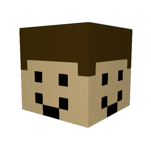 Kikkoman56 Minecraft avatar head, 3D render