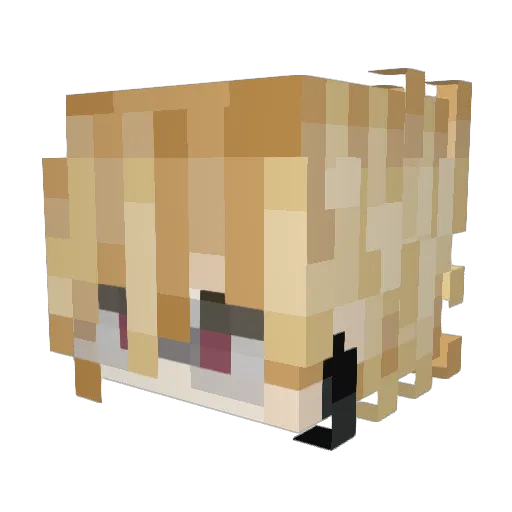 Kilbro2005 Minecraft avatar head, 3D render