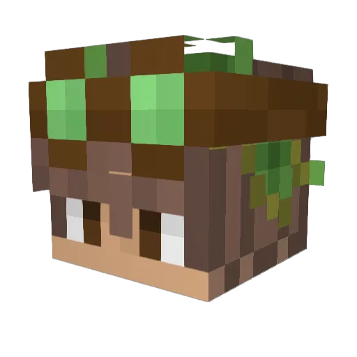 Kili11111xD Minecraft avatar head, 3D render
