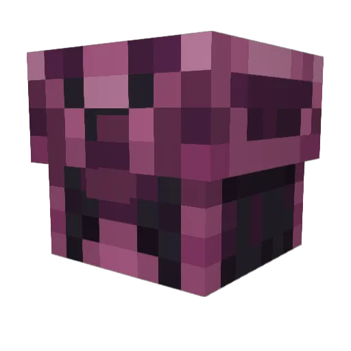 KiliE2001 Minecraft avatar head, 3D render