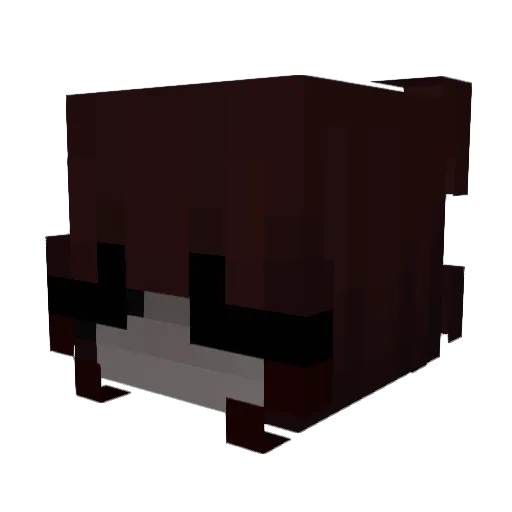 Kiliia Minecraft avatar head, 3D render