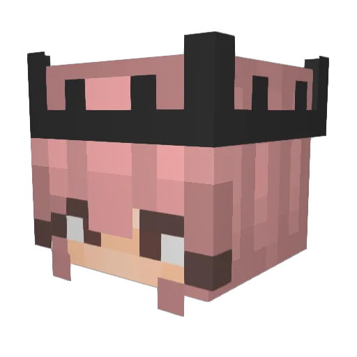 KillBill1234 Minecraft avatar head, 3D render