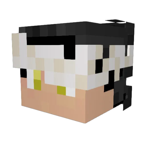 KillJ07 Minecraft avatar head, 3D render