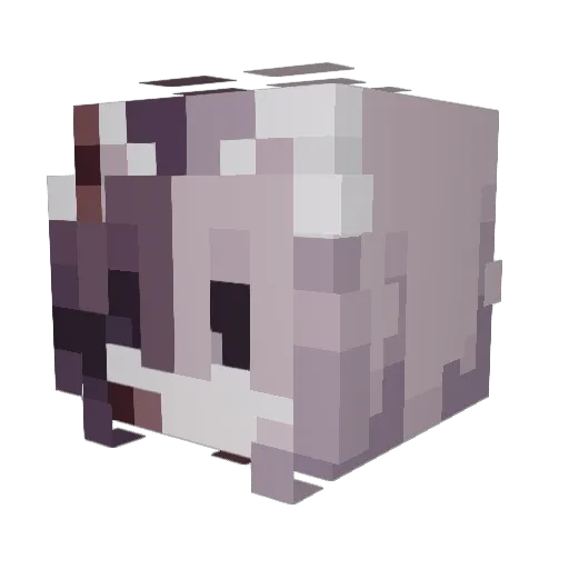 KillKinggX Minecraft avatar head, 3D render