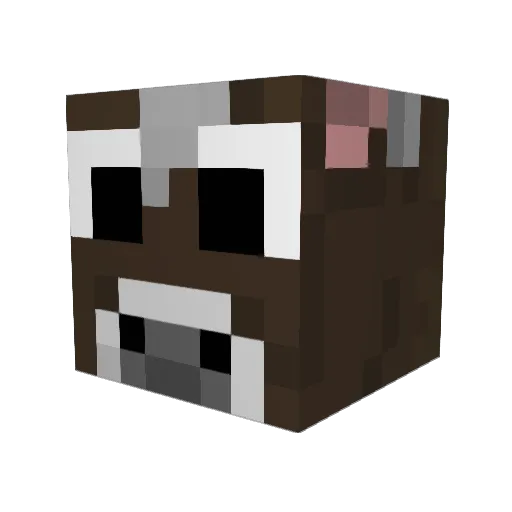 KillSpwner Minecraft avatar head, 3D render