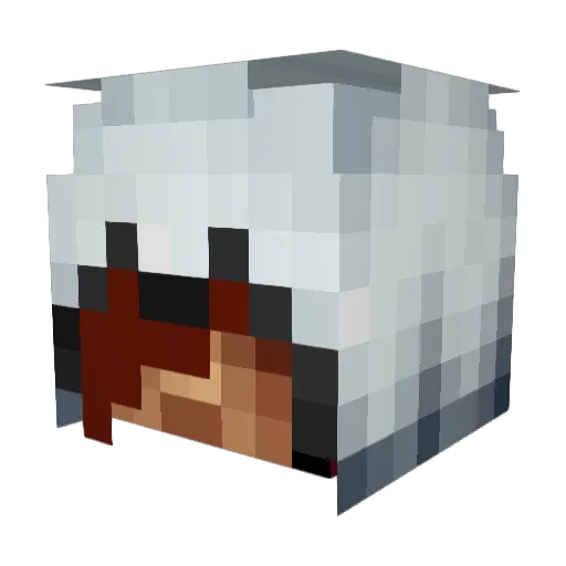 Kill_Abstauber Minecraft avatar head, 3D render