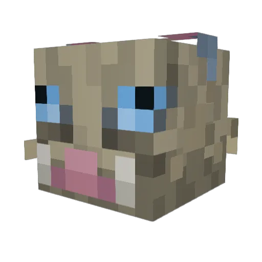 Killa1078 Minecraft avatar head, 3D render