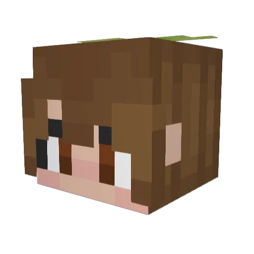 KillaBelle Minecraft avatar head, 3D render