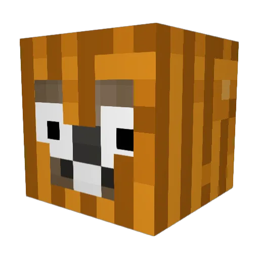 Killaruq Minecraft avatar head, 3D render
