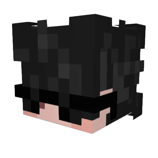 Killdozer53 Minecraft avatar head, 3D render
