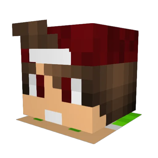 Killer5221 Minecraft avatar head, 3D render