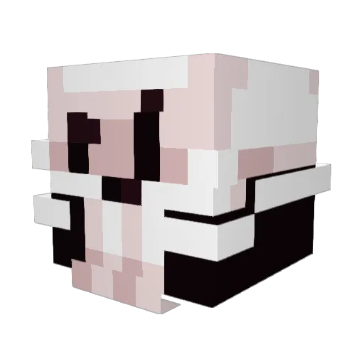 KillerAldix Minecraft avatar head, 3D render