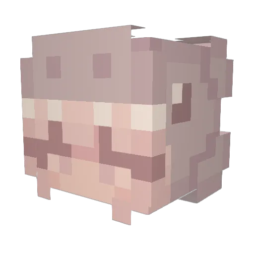 KillerAnxiety Minecraft avatar head, 3D render