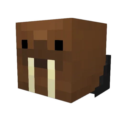 KillerBee_97 Minecraft avatar head, 3D render