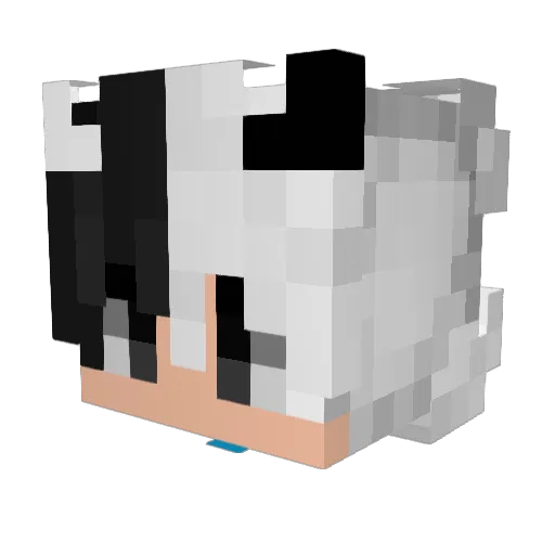 KillerD1830 Minecraft avatar head, 3D render