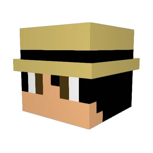 KillerFarrot Minecraft avatar head, 3D render