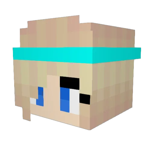 KillerFreeze Minecraft avatar head, 3D render