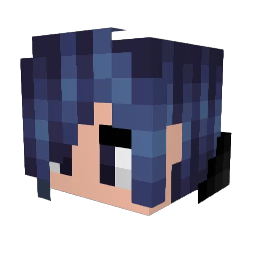 KillerKitty503 Minecraft avatar head, 3D render