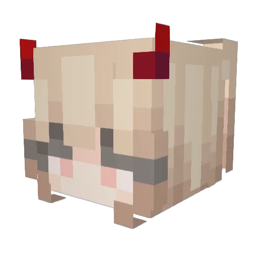 KillerKotek Minecraft avatar head, 3D render