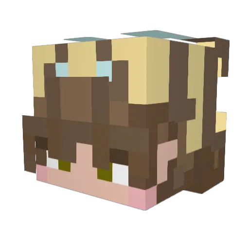 KillerMonkey1 Minecraft avatar head, 3D render