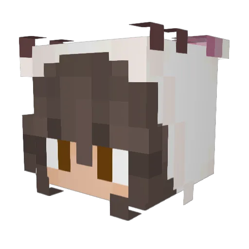 KillerNikki Minecraft avatar head, 3D render