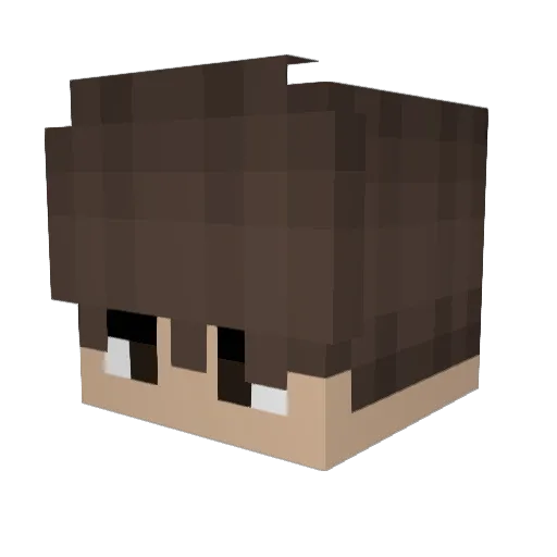 KillerNiller Minecraft avatar head, 3D render