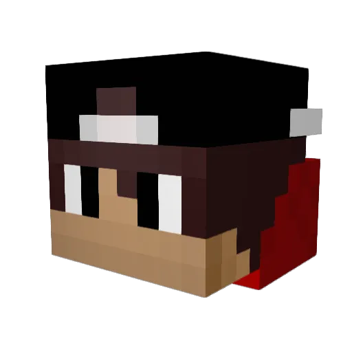 KillerPanda_21 Minecraft avatar head, 3D render
